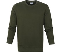 Sweater Seaweed Green