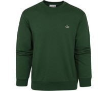 Pullover O-Ausschnitt Grün