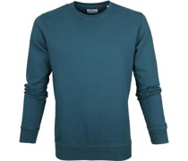 Sweater Ocean Grün