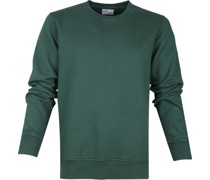 Sweater Organic Grün