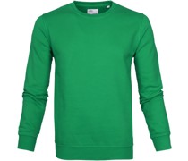 Sweater Kelly Green