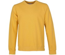 Sweater Gelb