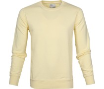 Sweater Soft Yellow