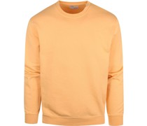 Sweater Organic Hell Orange
