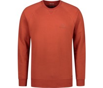 Sweater Rot