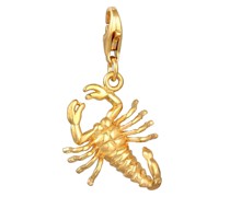 Charm  Sterlingsilber
