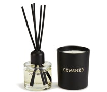 Candle and Diffuser Bundle