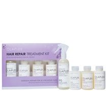 Hair Repair Treatment Holiday Kit
