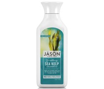 Hair Care Sea Kelp and Porphyra Algae Shampoo 473ml