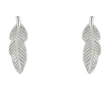Ohrringe Feather