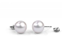 Weiße 6-6.50 mm Perlen in goldenen Ohrringen Amadey