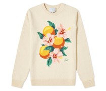 Casablanca Cotton Pullover