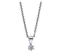 Solitairecollier