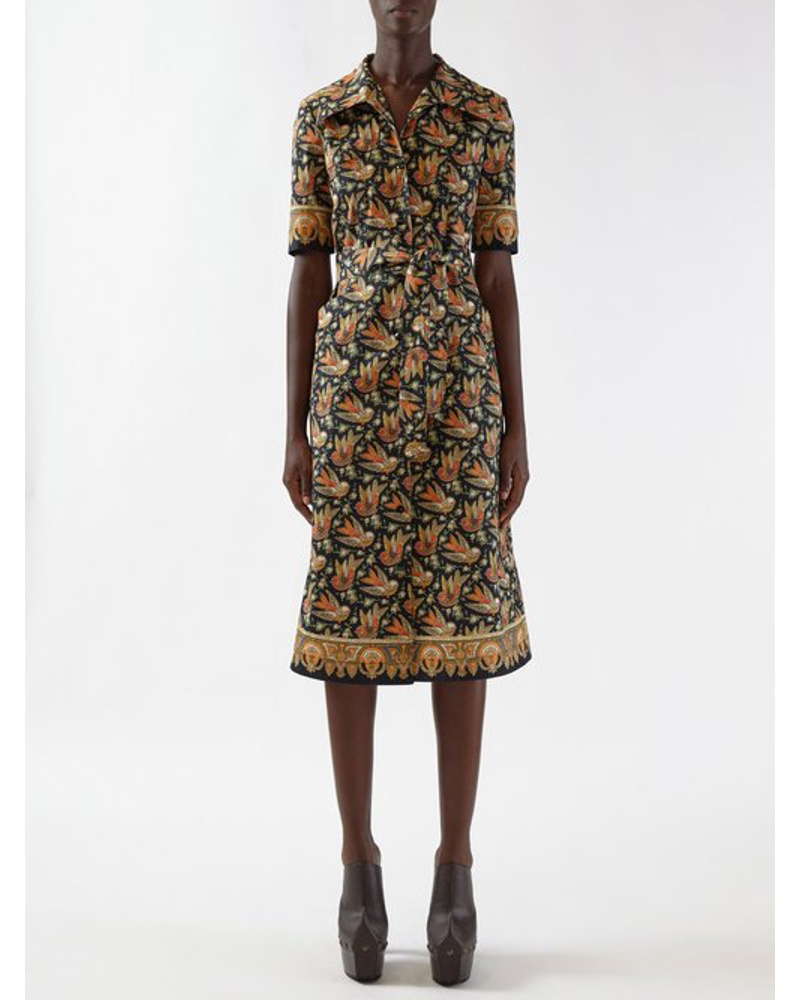 Etro Damen Bird-print Cotton-blend Poplin Shirt Dress