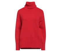 Rollkragenpullover