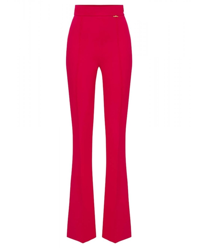 Elisabetta Franchi Damen Hose