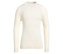 Rollkragenpullover