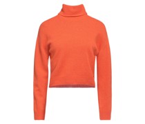 Rollkragenpullover