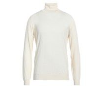 Rollkragenpullover