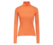 Rollkragenpullover