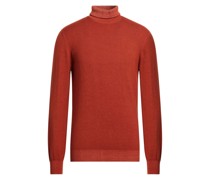 Rollkragenpullover