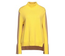 Rollkragenpullover