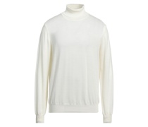 Rollkragenpullover