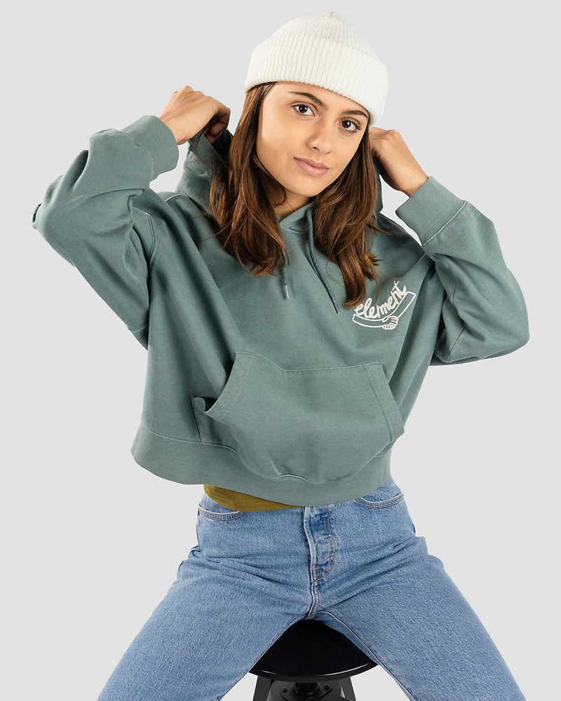 Element Damen Collab Hoodie