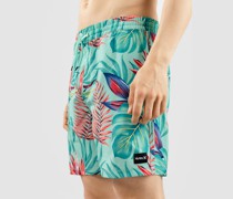 Cannonball Volley 17' Boardshorts