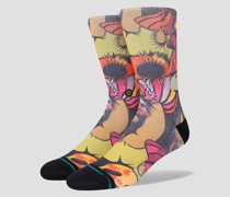 Gooey Socks