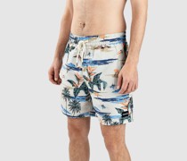 Cannonball Volley 17" Boardshorts
