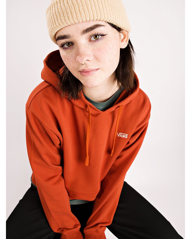 vans embroidered hoodie