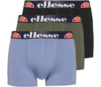 GRILLO Boxer