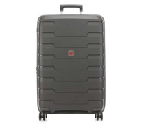 Roncato Skyline 4-Rollen Trolley grau