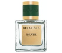 First Spring Primer 100 ml