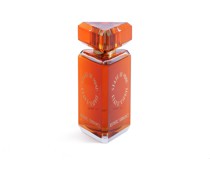 - Aesthetic Turbulence Perfume Parfum