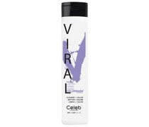 - Pastel Lavender Colorwash Shampoo 244 ml