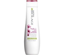 Shampoo 1000 ml