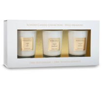 Scented Candle Collection - Wild Meadow Kerzen
