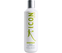Energy Detoxifying Shampoo 250 ml