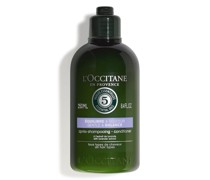 - Sanfte Balance Haarspülung 250ml Shampoo