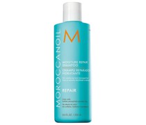 Repair Moisture Shampoo 250 ml