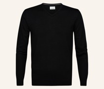 Pullover mit V-Ausschnitt