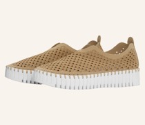 Sneaker TULIP3373 - HELLBRAUN