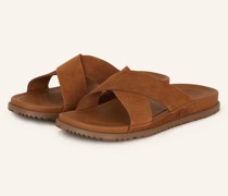 Pantoletten WAINSCOTT SLIDE - BRAUN