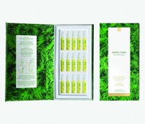 Phytoactive Antioxidative Ampoules