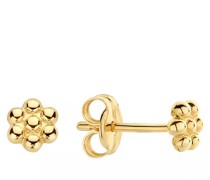 Ohrringe Jackie Margarita Studs