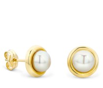 Ohrringe 14KT Freshwater Pearl Earrings