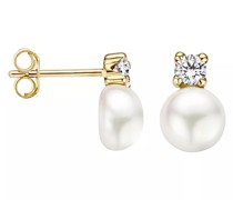 Ohrringe Earrings 7147YPW - Gold (14k) with Freshwater Pear