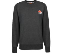 Diveria Crew Sweater